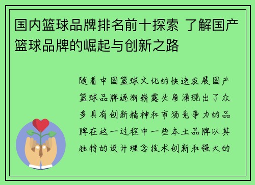 国内篮球品牌排名前十探索 了解国产篮球品牌的崛起与创新之路