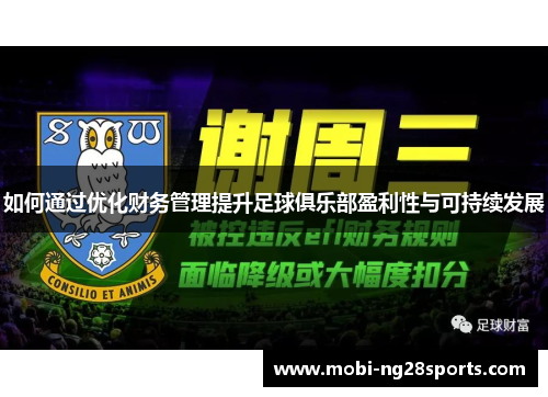 如何通过优化财务管理提升足球俱乐部盈利性与可持续发展