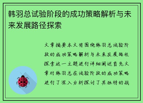 韩羽总试验阶段的成功策略解析与未来发展路径探索