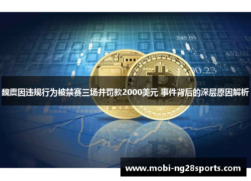 魏震因违规行为被禁赛三场并罚款2000美元 事件背后的深层原因解析