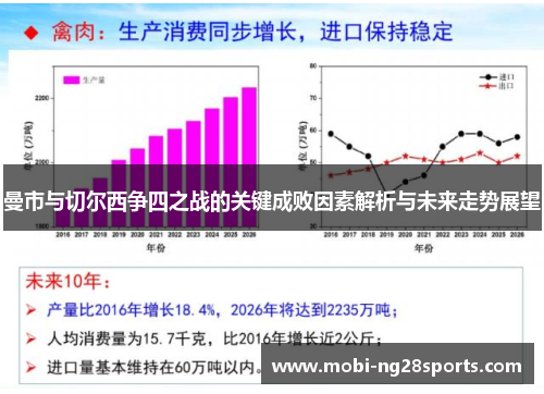 曼市与切尔西争四之战的关键成败因素解析与未来走势展望