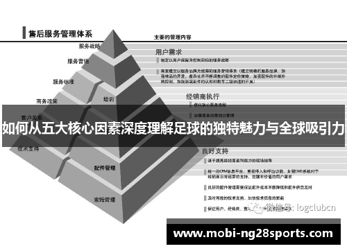 如何从五大核心因素深度理解足球的独特魅力与全球吸引力