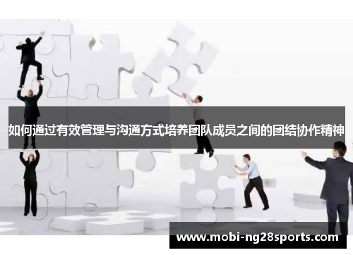 如何通过有效管理与沟通方式培养团队成员之间的团结协作精神