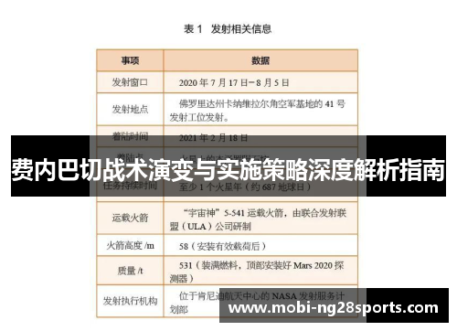 费内巴切战术演变与实施策略深度解析指南